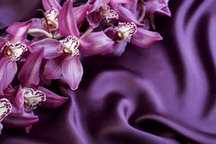 Шпалери Walldeco Квіти на атласі, текстура Бриз 8281