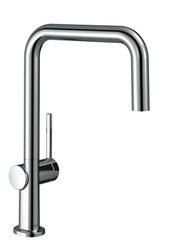 Змішувач для кухні Hansgrohe Talis M54 U 220 72806000