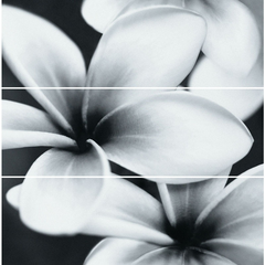 Плитка OPOCZNO Pret A Porter Gray Flower Composition 75x75 (компл. 3 шт.) для стен (декор) (091607)
